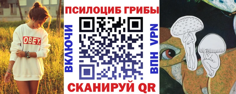 Галлюциногенные грибы Cubensis  Купить где  Шатура 